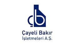 cayeli bakir